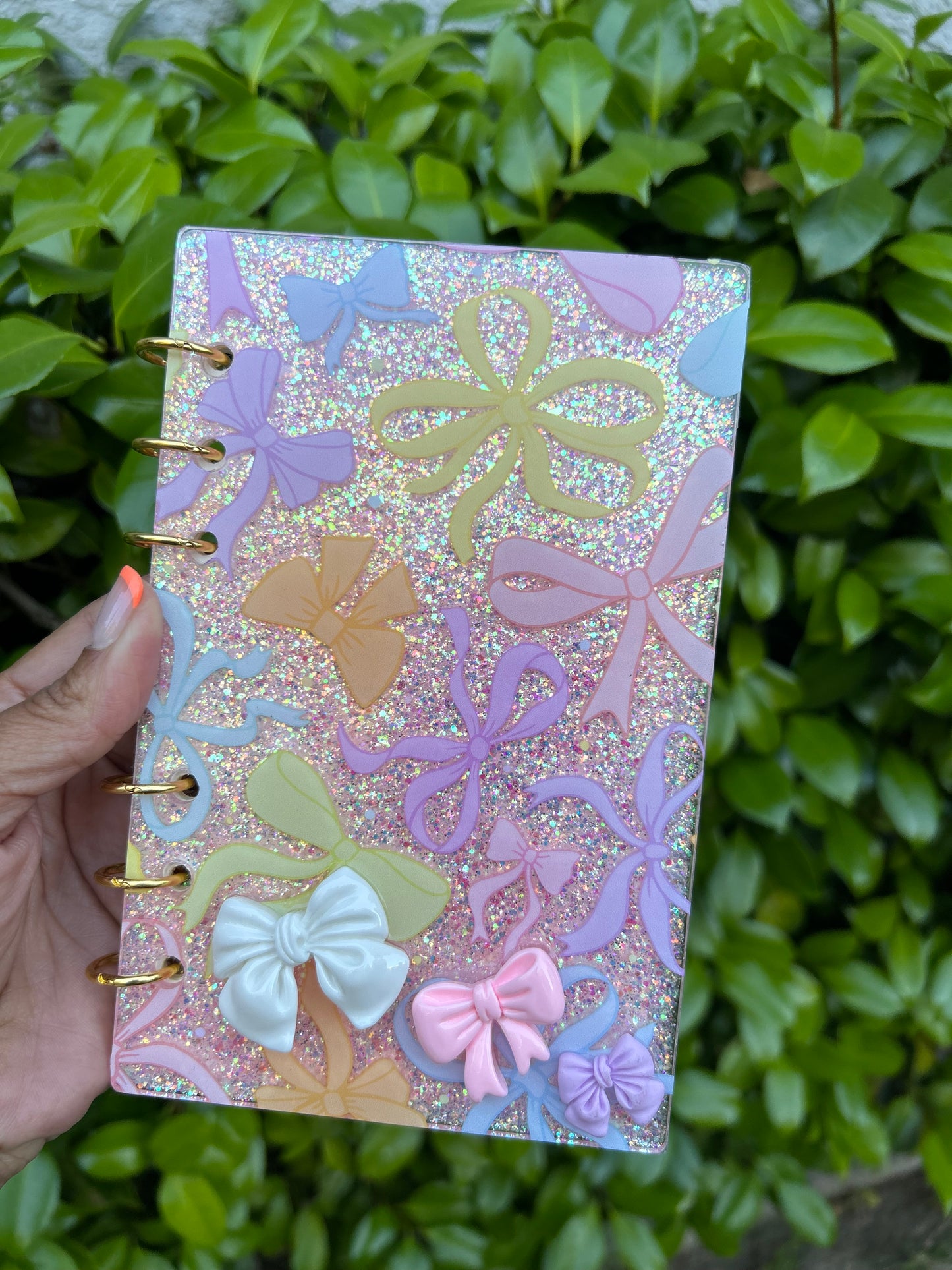 Acrylic Journal